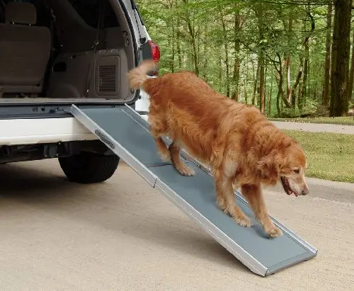 Petsafe happy ride telescoping dog ramp extra-long hondenloopplank