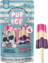 Pup ice raket aardbei/bosbessen hondenijsje - afbeelding 1