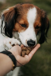 Renkse dog senior graanvrij verse kalkoen 12kg Hondenvoer - afbeelding 3