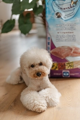 Renske dog adult graanvrij verse eend / konijn 12 kg Hondenvoer - afbeelding 3