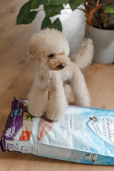 Renske dog adult graanvrij verse eend / konijn 12 kg Hondenvoer - afbeelding 4