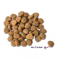 Renske dog adult graanvrij verse eend / konijn 12 kg Hondenvoer - afbeelding 2