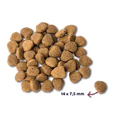 Renske dog adult graanvrij verse eend / konijn 12 kg Hondenvoer - afbeelding 5