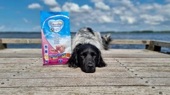 Renske dog adult graanvrij verse lam 12 kg Hondenvoer - afbeelding 2