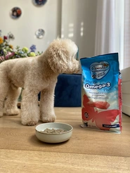 Renske dog adult graanvrij verse zalm 12 kg Hondenvoer - afbeelding 2