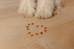 Renske gezonde beloning hond hartjes eend 100 gram - afbeelding 3