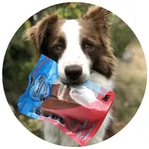 Renske gezonde beloning hond vlees-repen zalm 100gr. - afbeelding 2