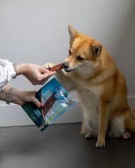Renske gezonde beloning hond vlees-repen zalm 100gr. - afbeelding 2