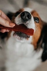 Renske gezonde beloning hond vlees-repen zalm 100gr. - afbeelding 3