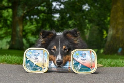 Renske hond biologisch natvoer graanvrij rund 300gr. - afbeelding 2