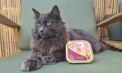 Renske kat biologisch natvoer graanvrij kip 19X85gr. - afbeelding 2