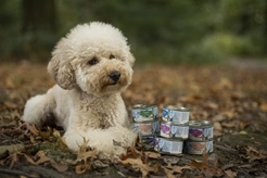 Renske vers konijn/eend graanvrij 95 gram Hondenvoer - afbeelding 2