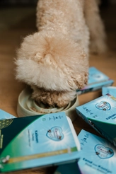 Renske vers puppy/junior kip&lam 10x395 gram Hondenvoer - afbeelding 2