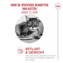 Royal Canin 15+ senior cats 4kg Kattenvoer - afbeelding 3