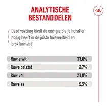 Royal Canin 15+ senior cats 4kg Kattenvoer - afbeelding 6