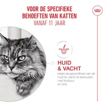 Royal Canin 11+ senior cats 2kg Kattenvoer - afbeelding 4