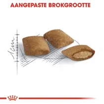 Royal Canin ageing 12+ senior 400 gr Kattenvoer - afbeelding 2