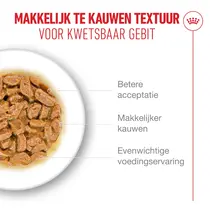 Royal Canin ageing 15+ in gravy 12x85gr Kattenvoer - afbeelding 5