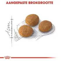 Royal Canin aroma exigent feline preference 10 kg Kattenvoer - afbeelding 2