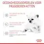 Royal Canin babycat milk 300 gram - afbeelding 4