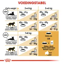 Royal Canin british shorthair 10 kg Kattenvoer - afbeelding 5