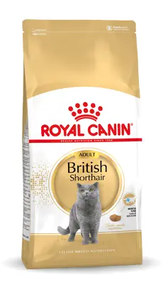 Royal Canin british shorthair 10 kg Kattenvoer - afbeelding 1