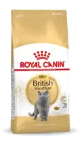 Royal Canin british shorthair 10 kg Kattenvoer - afbeelding 1