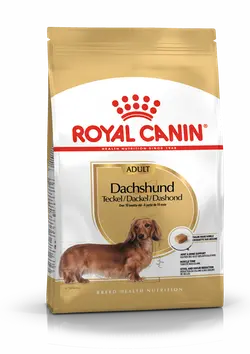 Royal Canin dachshund adult 1,5 kg Hondenvoer - afbeelding 1