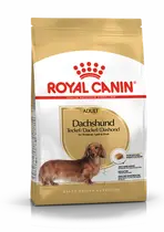 Royal Canin dachshund adult 1,5 kg Hondenvoer