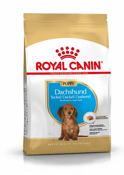 Royal Canin dachshund puppy 1,5 kg - afbeelding 1
