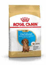 Royal Canin dachshund puppy 1,5 kg Hondenvoer