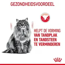 Royal Canin dental care 1,5 kg Kattenvoer - afbeelding 2