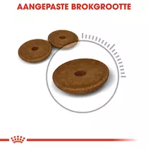 Royal Canin digestive care 4 kg Kattenvoer - afbeelding 2