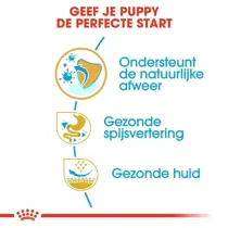 Royal Canin french bulldog puppy 10 kg Hondenvoer - afbeelding 4