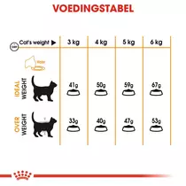 Royal Canin hair & skin care 10 kg Kattenvoer - afbeelding 6