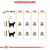 Royal Canin hair & skin care 2 kg Kattenvoer - afbeelding 6