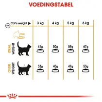 Royal Canin hair & skin care 400 gr Kattenvoer - afbeelding 6