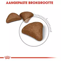 Royal Canin hairball care 10 kg Kattenvoer - afbeelding 2