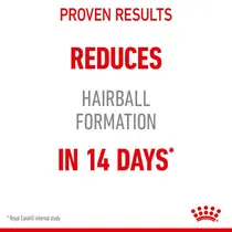 Royal Canin hairball care 10 kg Kattenvoer - afbeelding 4