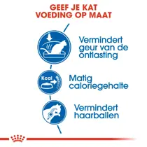 Royal Canin indoor 27 home life 2 kg Kattenvoer - afbeelding 5