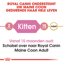 Royal Canin kitten Maine Coon 10 kg Kattenvoer - afbeelding 4