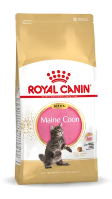 Royal Canin kitten Maine Coon 10 kg Kattenvoer - afbeelding 1