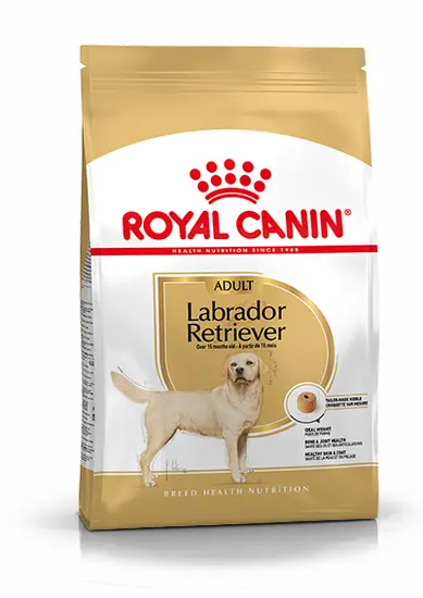 Royal Canin labrador adult 12 kg Hondenvoer - afbeelding 1