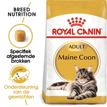 Royal Canin maine coon 2 kg Kattenvoer - afbeelding 3