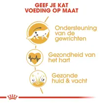 Royal Canin maine coon 4 kg Kattenvoer - afbeelding 4