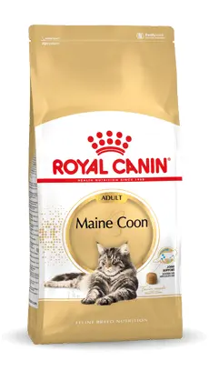 Royal Canin maine coon 4 kg Kattenvoer - afbeelding 1