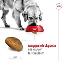 Royal Canin maxi adult 15 kg + 3 kg gratis bonusbag - afbeelding 3