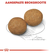 Royal Canin medium adult 15 kg + 3 kg gratis hondenvoer - afbeelding 3