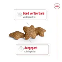 Royal Canin mini adult 2 kg Hondenvoer - afbeelding 2