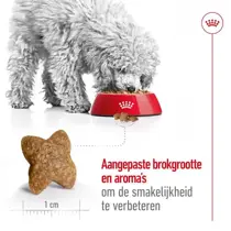 Royal Canin mini adult 2 kg Hondenvoer - afbeelding 4